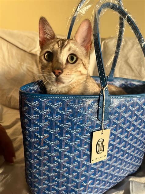 goyard cat bag